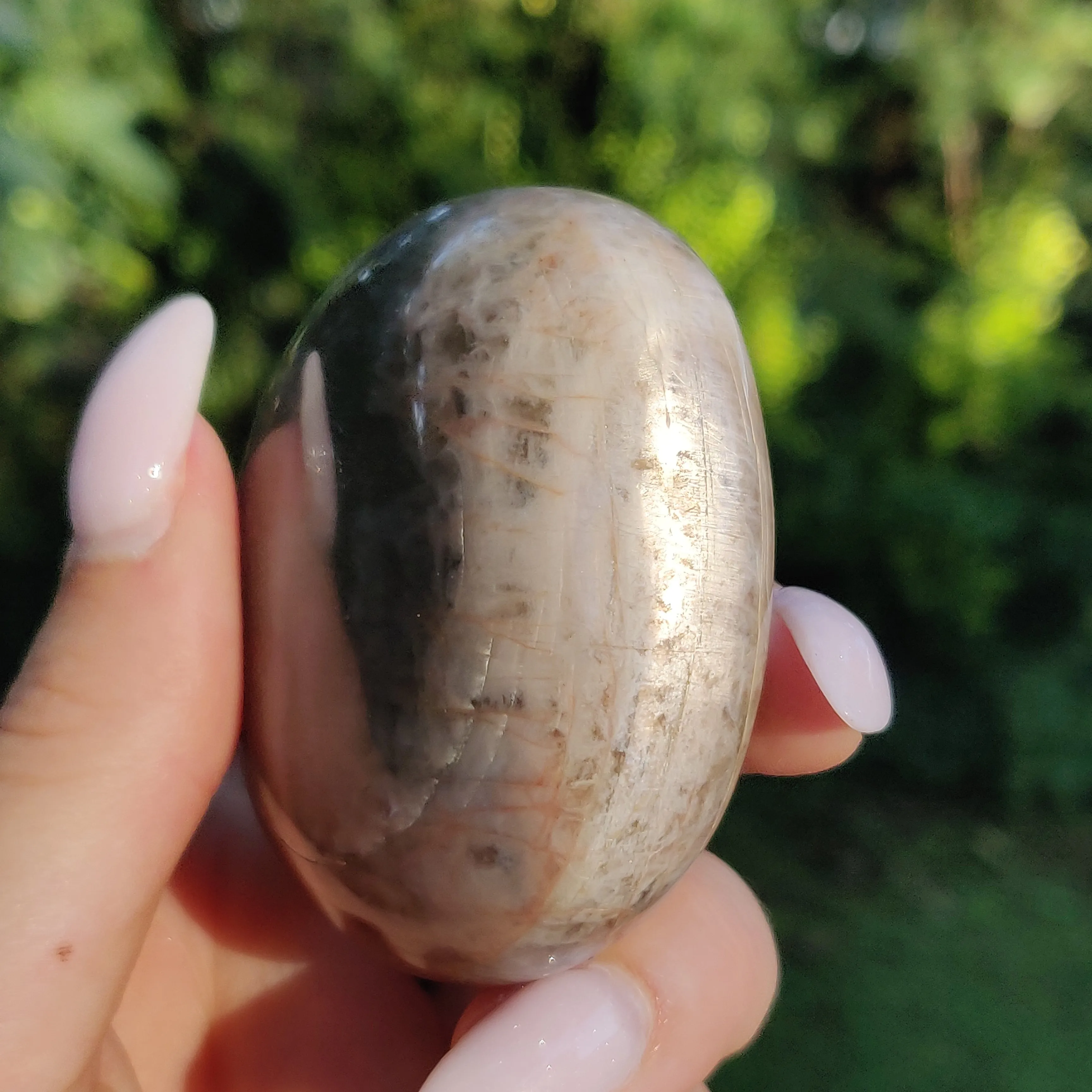 Black Moonstone Palm Stone, Flashy Black Moonstone (#11)