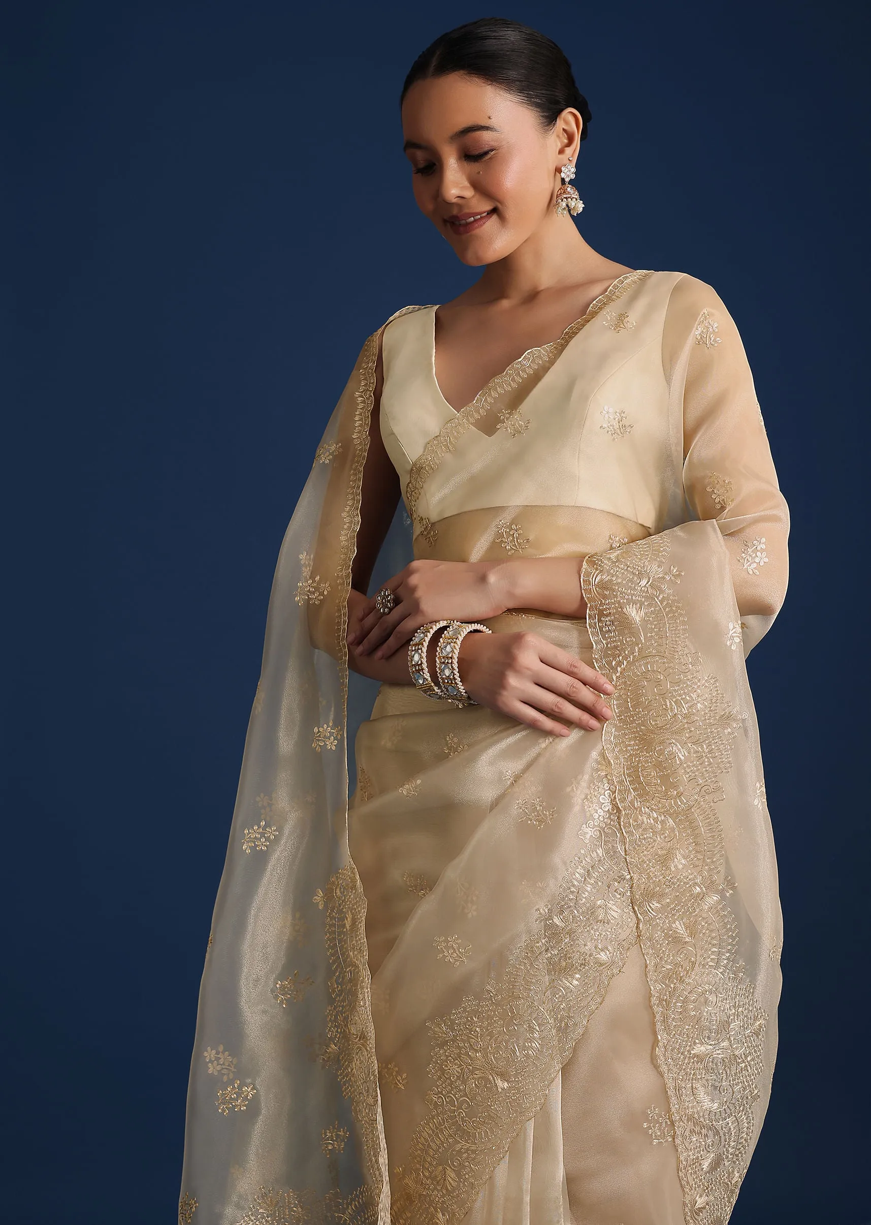 Light Gold Glass Tissue Saree With Pitta Work