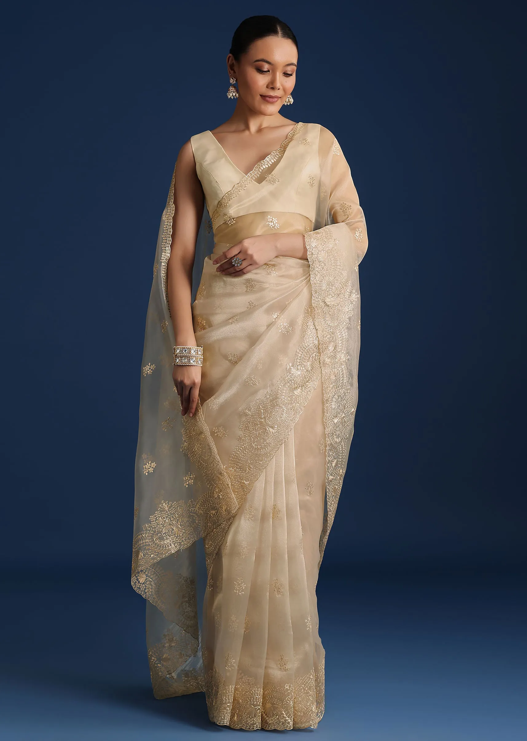 Light Gold Glass Tissue Saree With Pitta Work