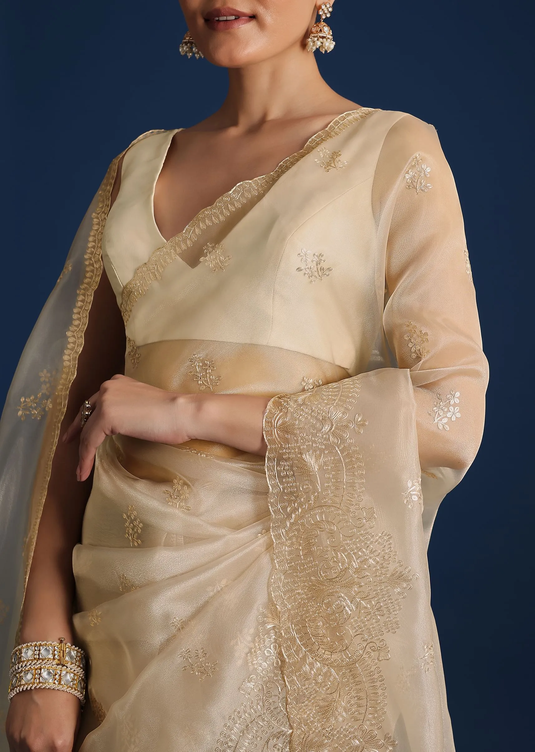 Light Gold Glass Tissue Saree With Pitta Work