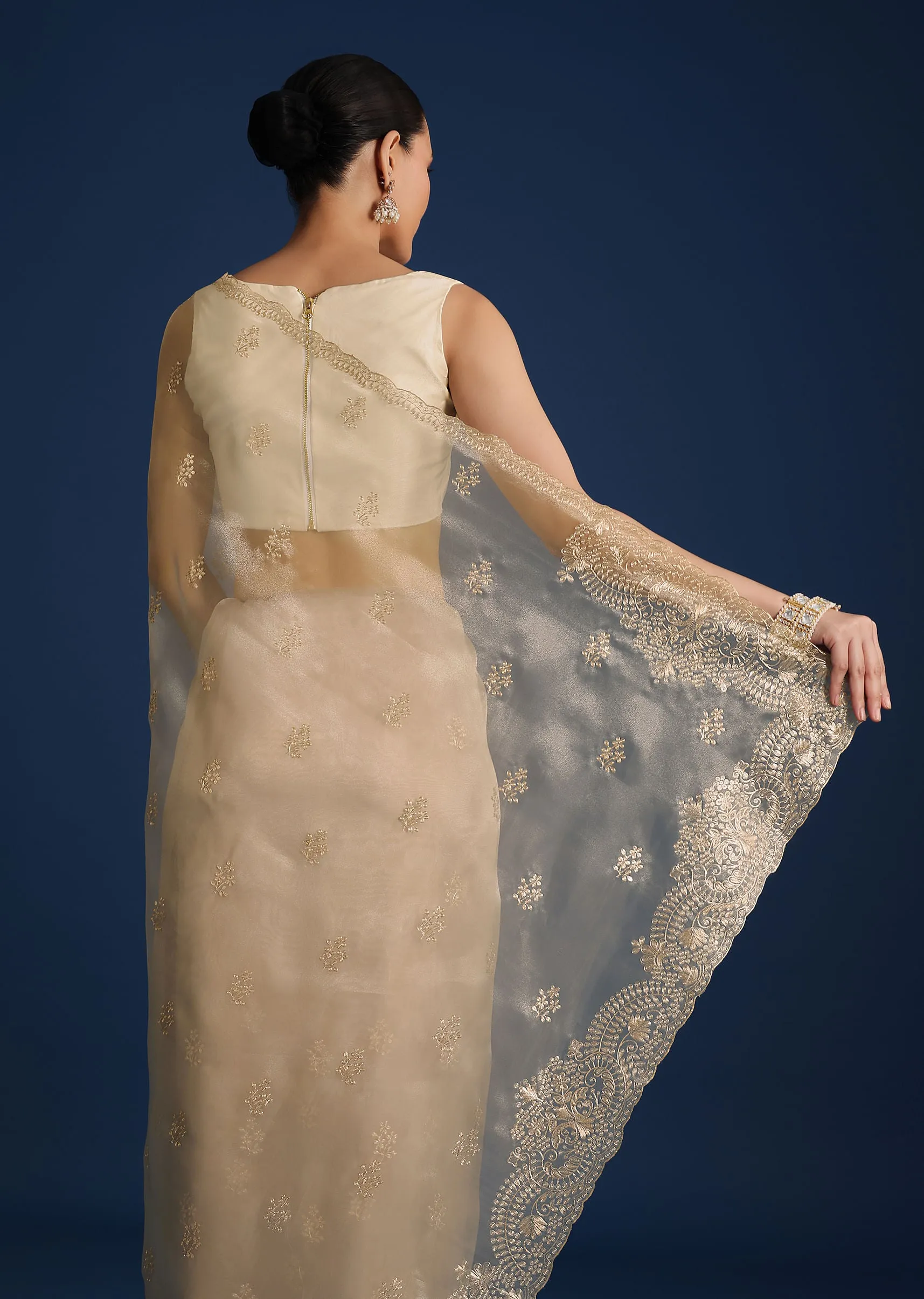 Light Gold Glass Tissue Saree With Pitta Work